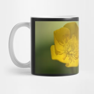 Buttercup 02 Mug